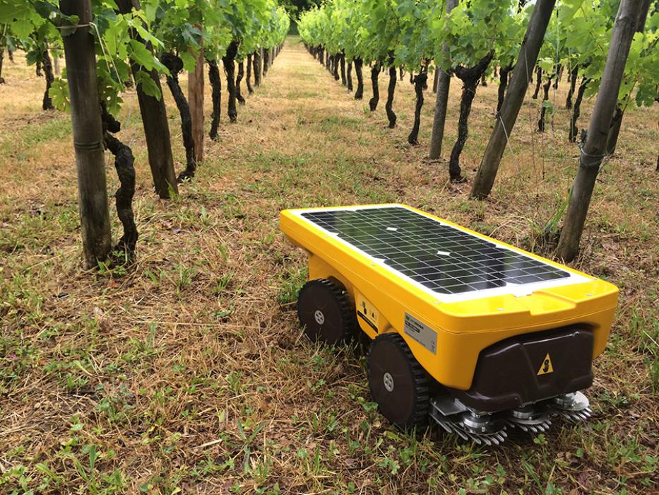 VITIROVER robot Outdoor pentru livezi, viticultura, panouri solare